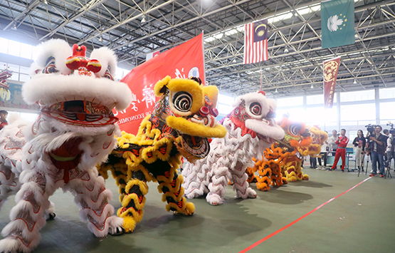 首届中国·东盟大学生文化周龙狮友谊赛 